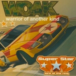 WOAK-Remix Tonstudio Mannheim