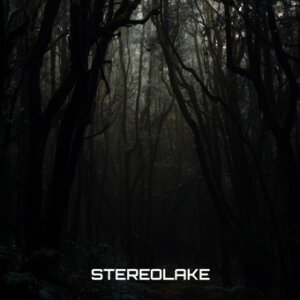 Stereolake-Woods Tonstudio Mannheim