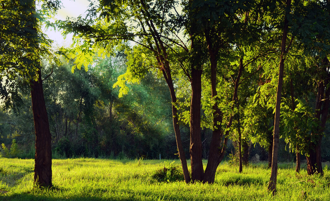 sound-design-2 Sound Design