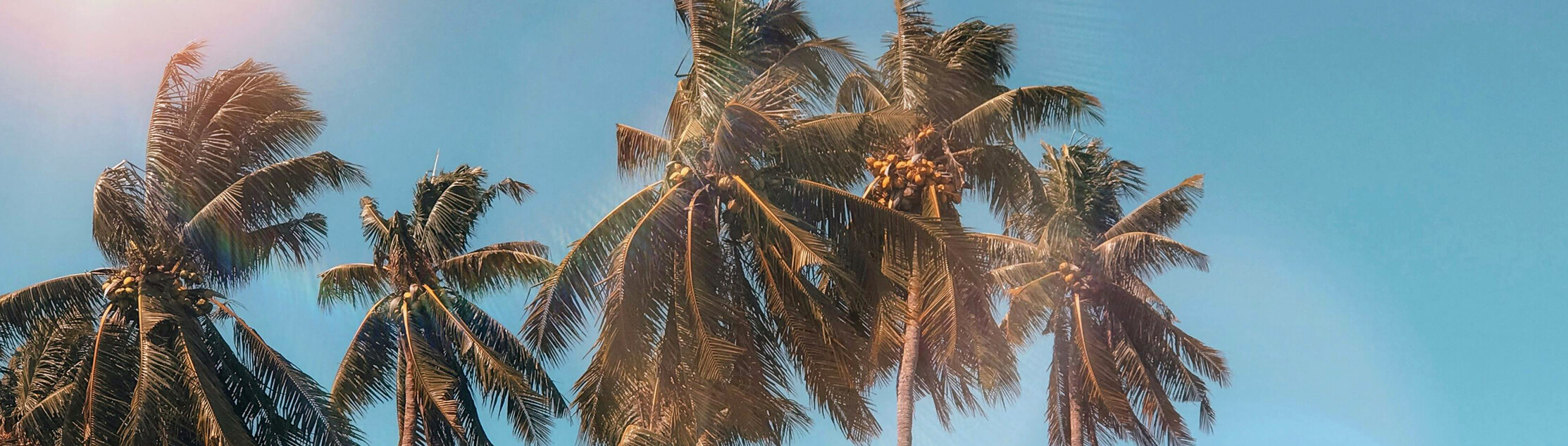 Tonstudio Mannheim | Maison Derrière Tonstudio Mannheim Blog